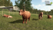 Игра Farming Simulator 25. Highlands Fishing Edition [PS5, русские субтитры] в Ставрополе