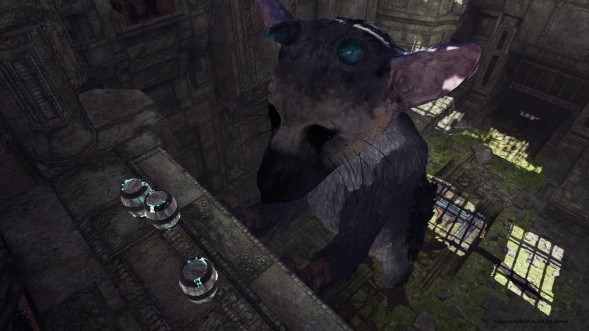 The Last Guardian: Последний хранитель [PS4, русские субтитры] в Ставрополе