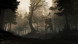 Игра GreedFall [PS4, русские субтитры] в Ставрополе