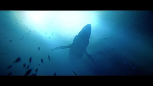 Игра Under The Waves [PS4, русские субтитры] в Ставрополе