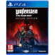 Игра Wolfenstein Youngblood Deluxe Edition [PS4, русская версия] в Ставрополе